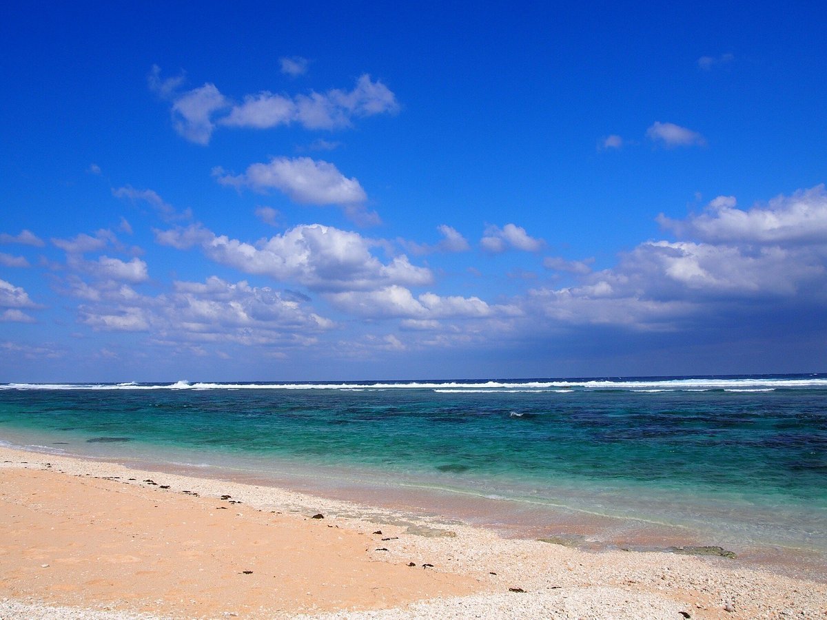 🏖️ 요시노 해안(요시노카이간) 이미지 7